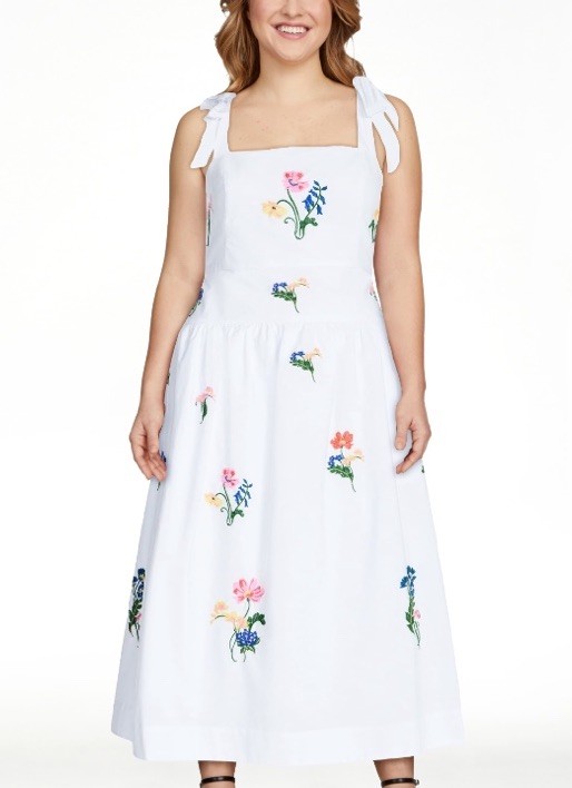 Free Assembly Embroidered Cotton Sleeveless Maxi Dress with tie-shoulder straps