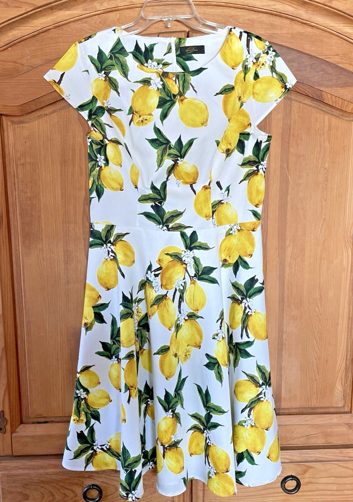 Dressystar Women’s Retro Style White Yellow Lemon Print Cap Sleeve Dress Large