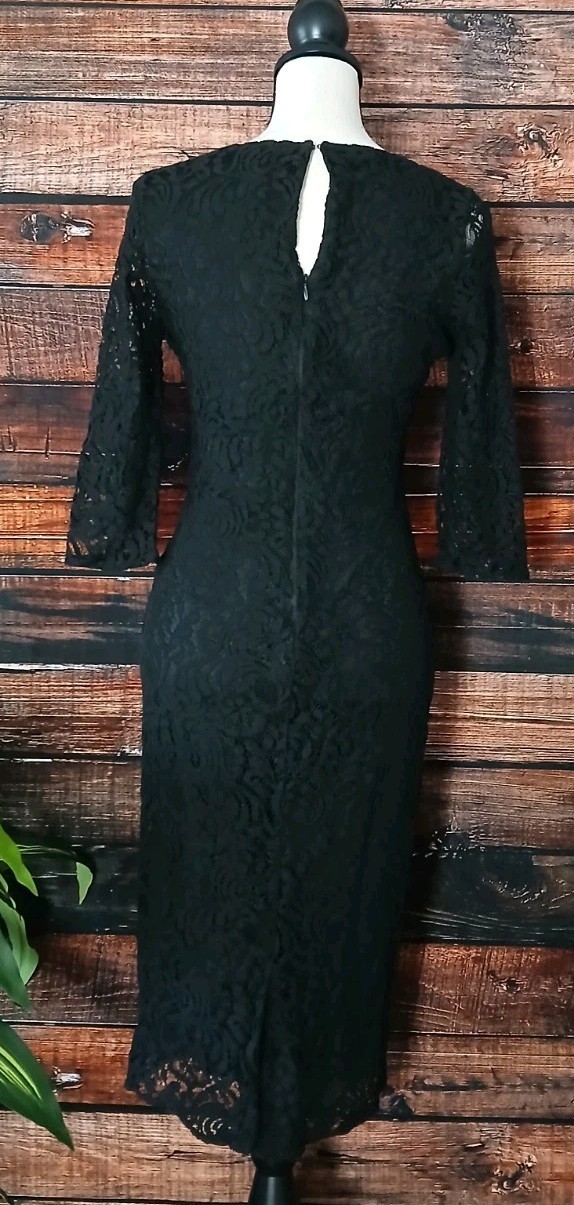 Eva Mendes NY & Co Dress Size 4 Black Lace Sheer 3/4 Sleeves Stretch Lined Zip