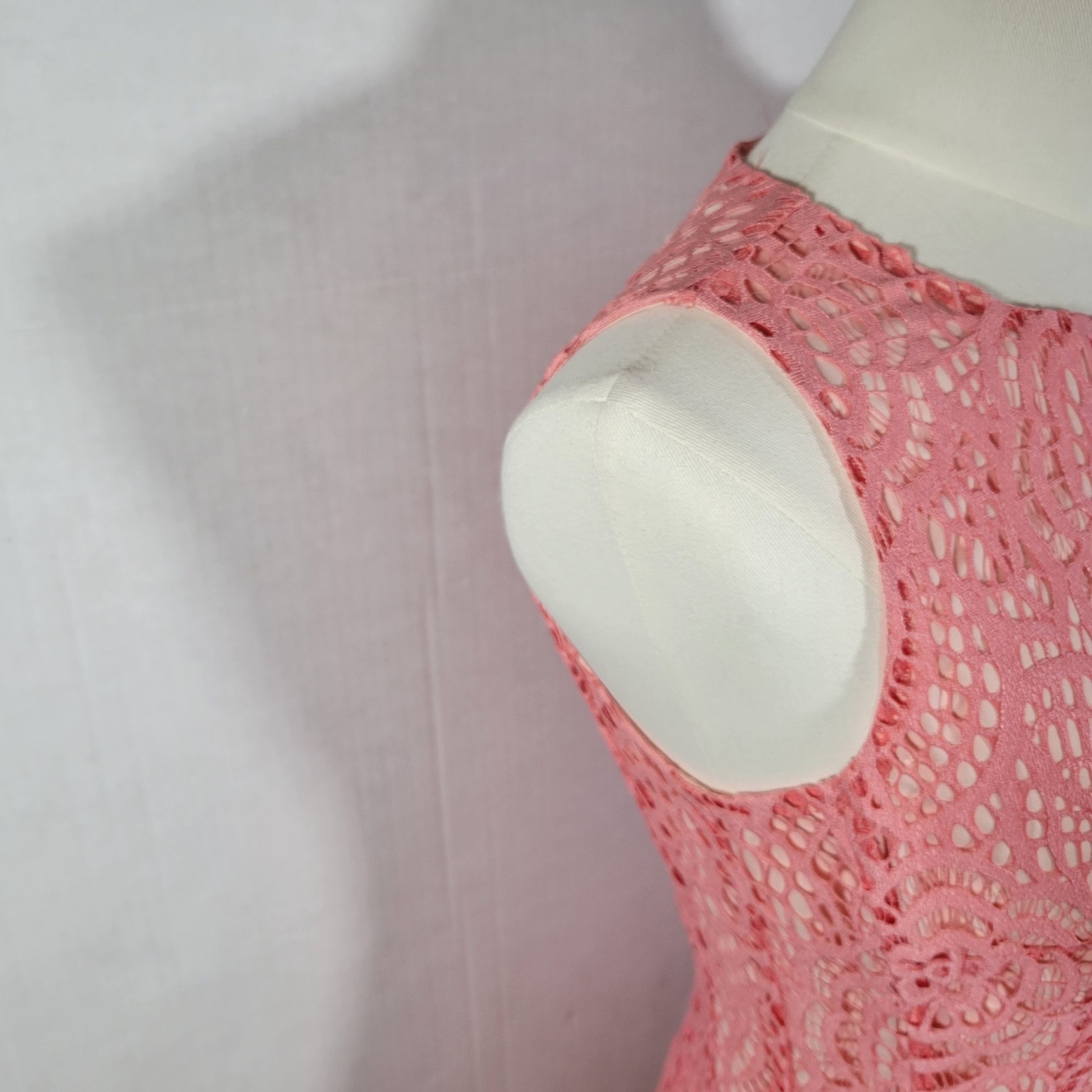 Eva Mendes NY&C Formal Classic Elegant Pink Lace Sleeveless Dress Size 2