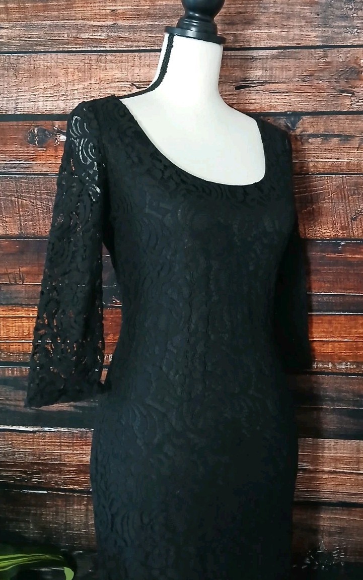 Eva Mendes NY & Co Dress Size 4 Black Lace Sheer 3/4 Sleeves Stretch Lined Zip