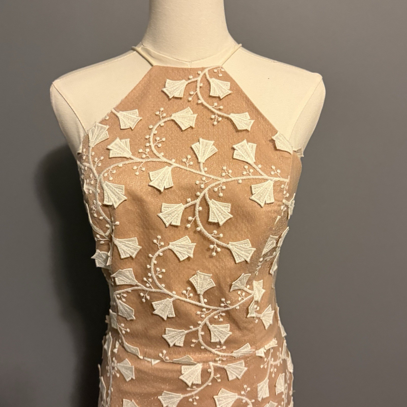 Jarlo Embroidered Mesh Maxi Dress 12 Petite Floral Aplique Nude Illusion Formal