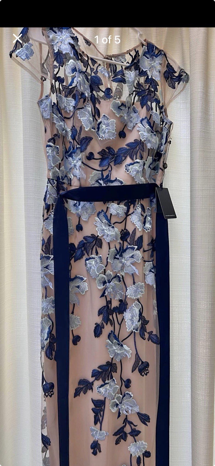 Adrianna Papell Size 6 Beige/Blue Floral Embroidered Mesh Long A-Line Belt
