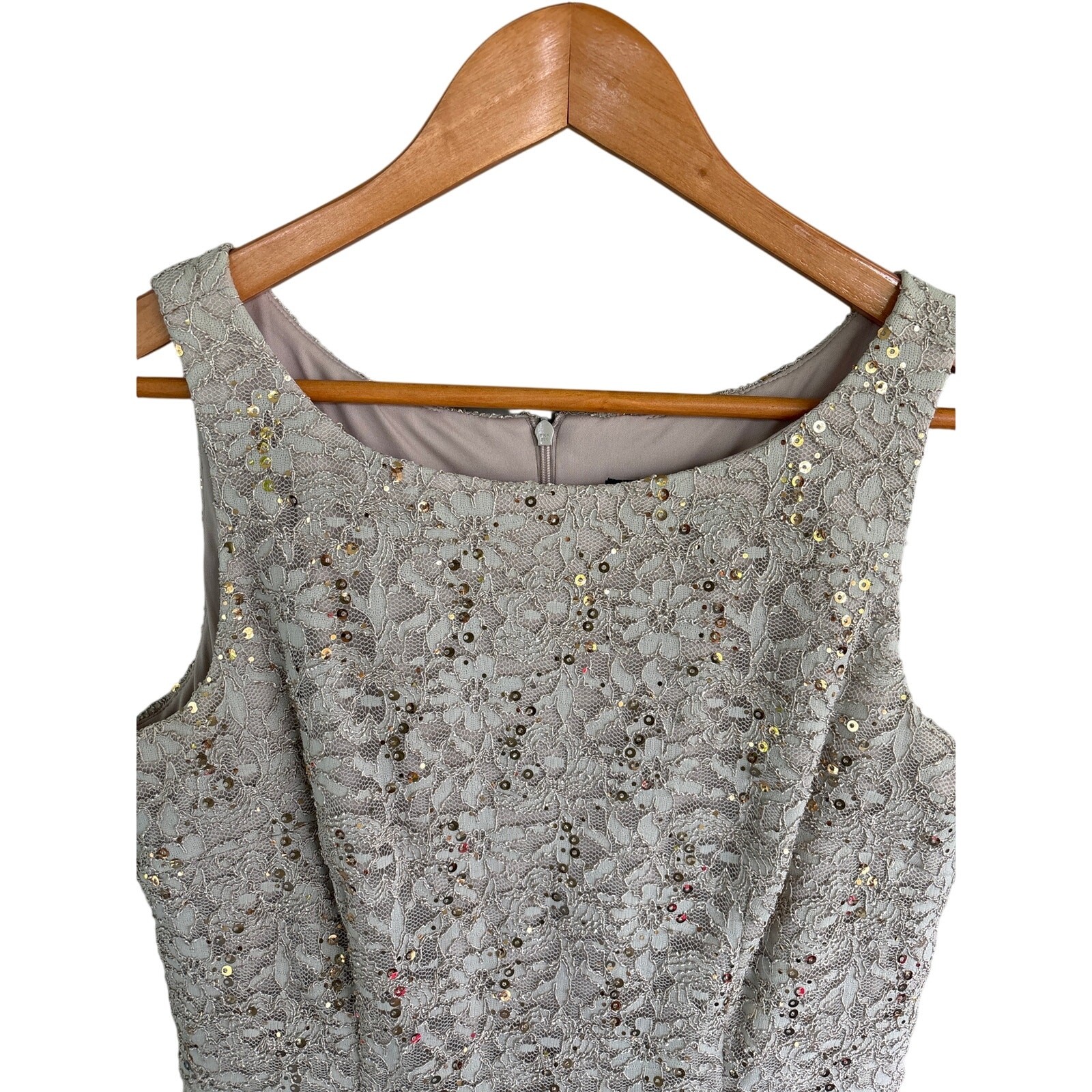 Alex Evenings Floral Overlay Sequin Knee Length Dress & Scarf Cream Sage Size 8