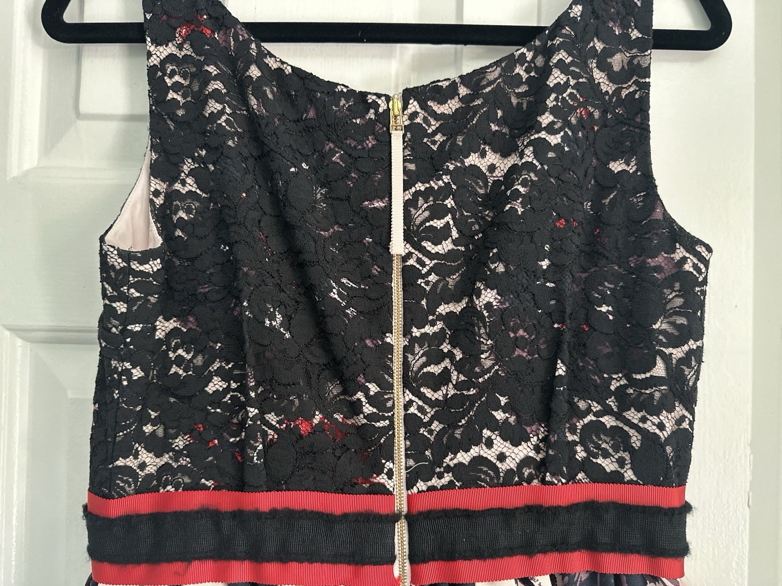 Anthropologie Peter Som Brushstroke Blossoms Lace Bodice Dress Size 6 MSRP 248$