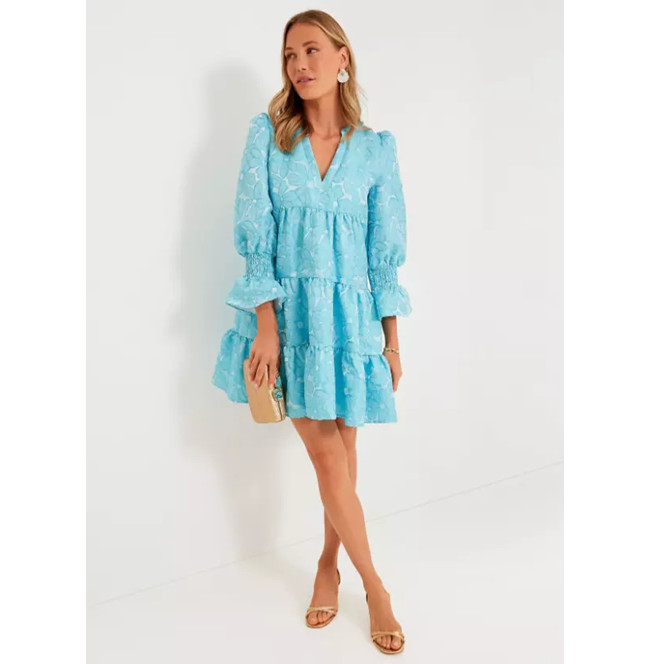 Pomander Place by Tuckernuck Blue Daisy Jacquard Kenzo Dress size L Large