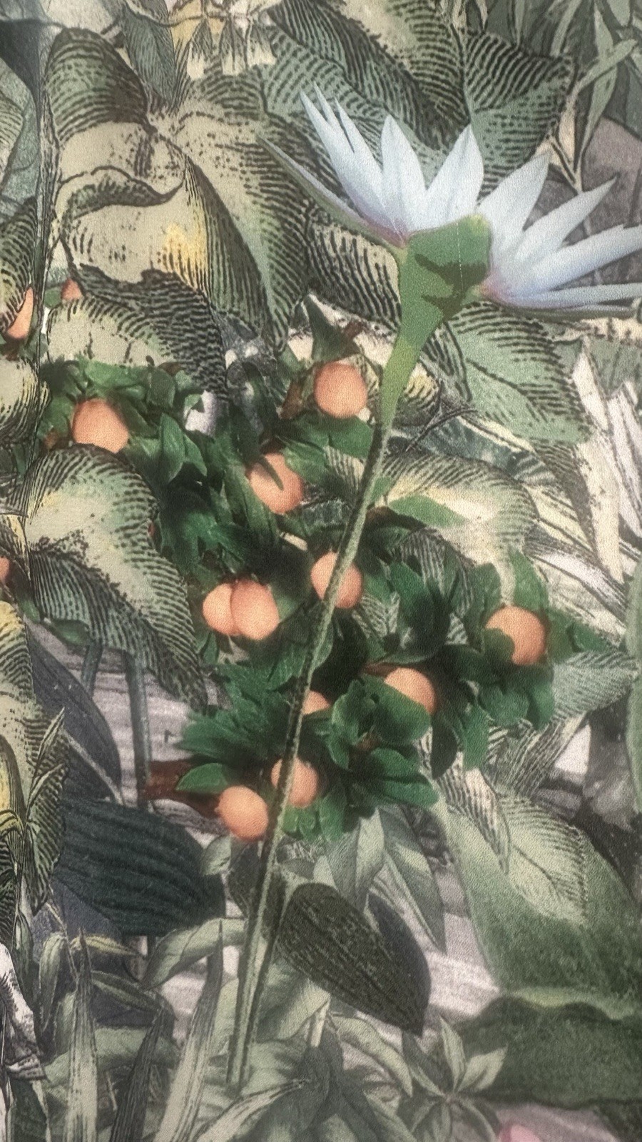 HM conscious collection tropical jungle printMaxi vacation dress parrots animal