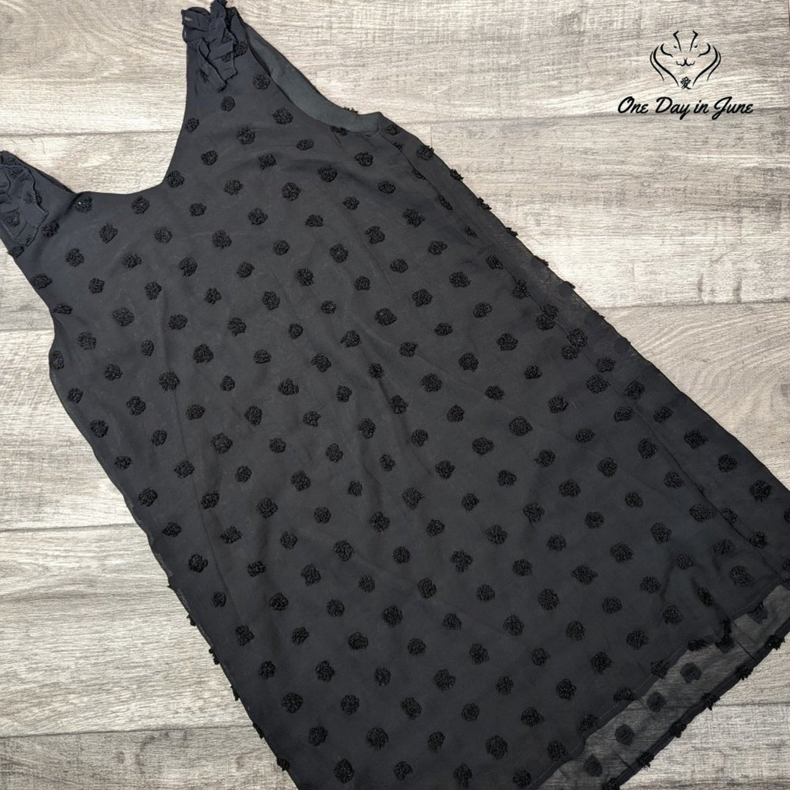 Hotouch Sleevless Sheer Lined Mini Dress Size S
