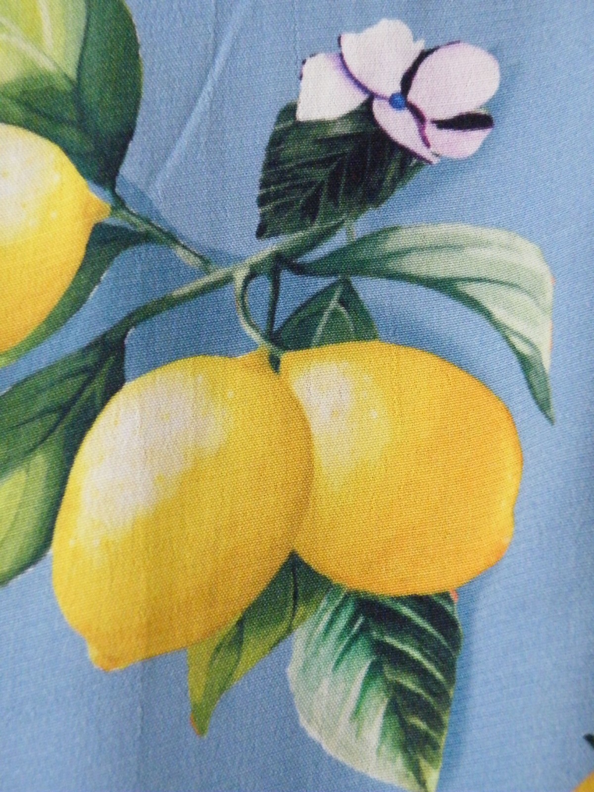 👗******MONSOON PRE-OWNED “LIBRA LEMON” DRESS SIZE 22******👗