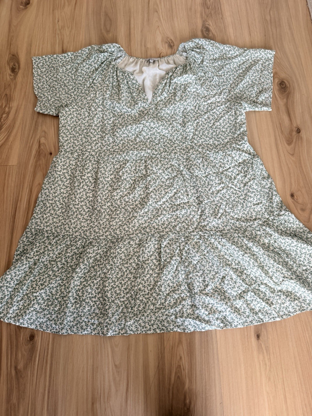 Rails Clarissa Green Floral Rayon Crepe Mini Dress Large