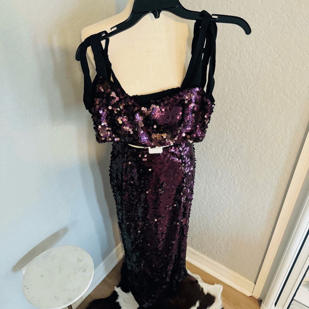 Free People Star Bright Sequin Two-Piece Crop Top & Midi Skirt, Lilac, Sz 4, NWT