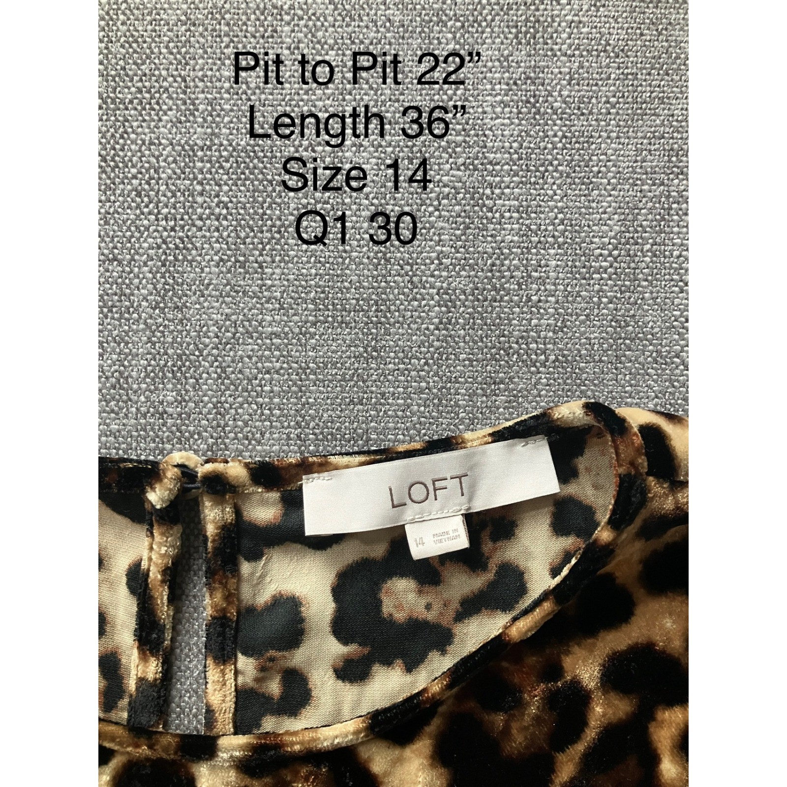 LOFT Womens Leopard Print Velvet Ruffle Sleeve Shift Dress Brown Size 14