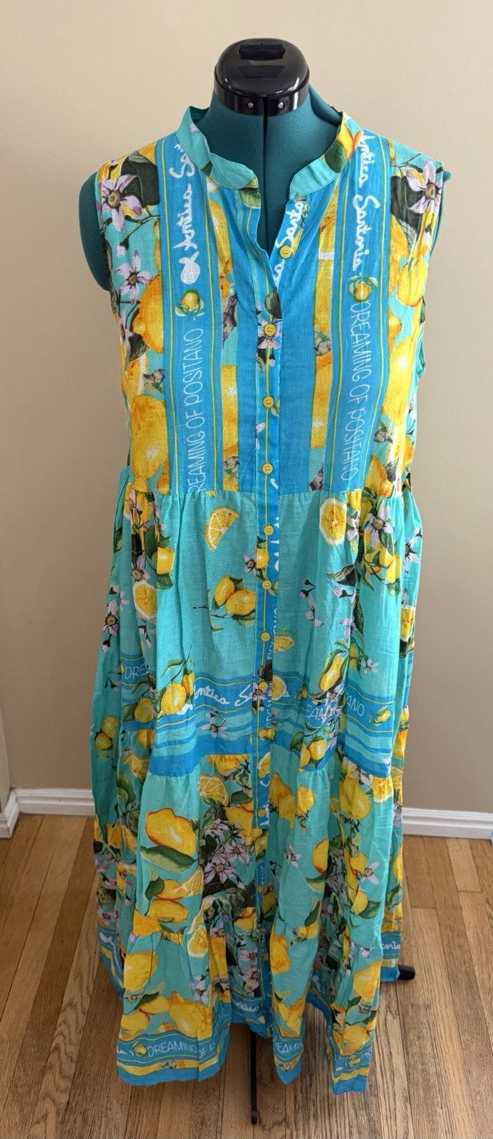 Antica Sartoria Positano 2026 Aqua Lemon Print Sleeveless Maxi Dress L/XL NWT