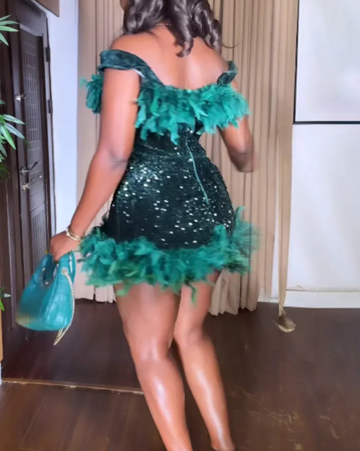 Feather Mini Shiny Dress