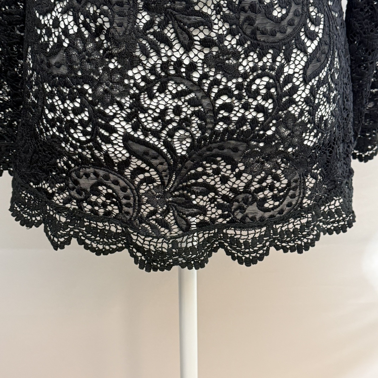 You Are Not Alone Black Lace Long Sleeve Sheer Dress, Coverup or Tunic Top Sz L