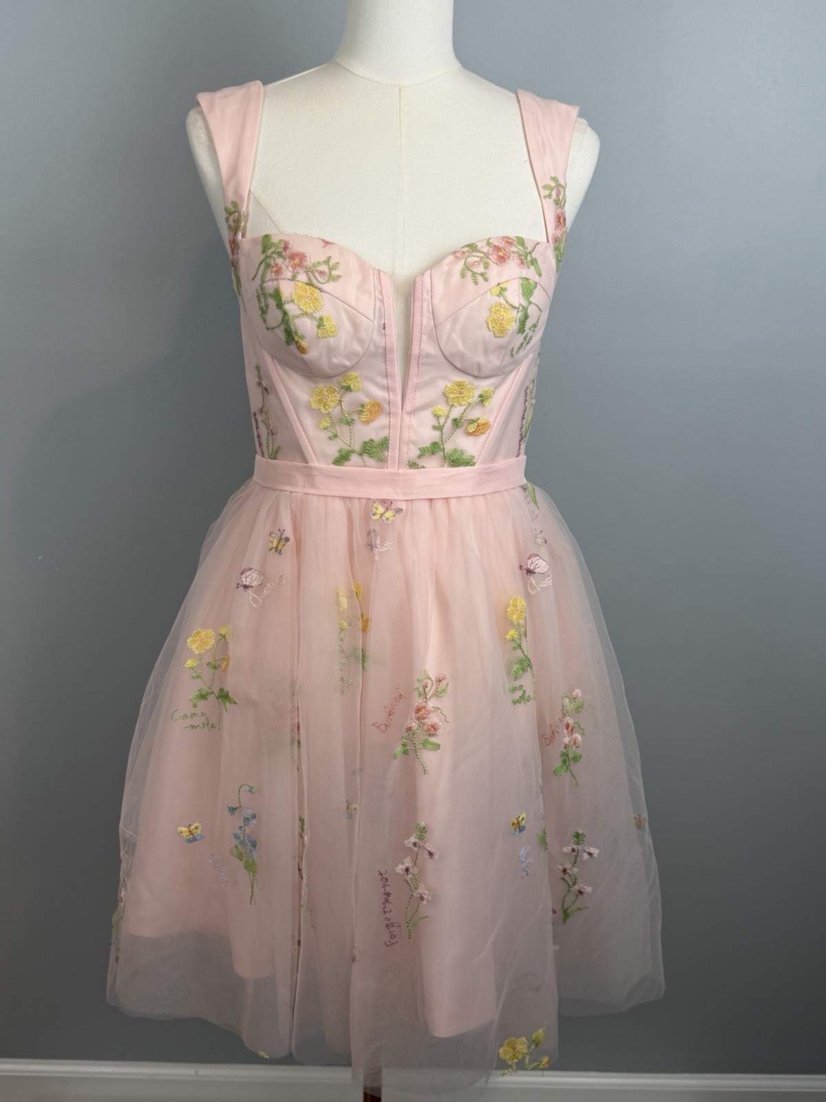 Pink Tulle Mini Dress Fairycore Lace-Up Corset Romantic Embroidered Floral Sz 8