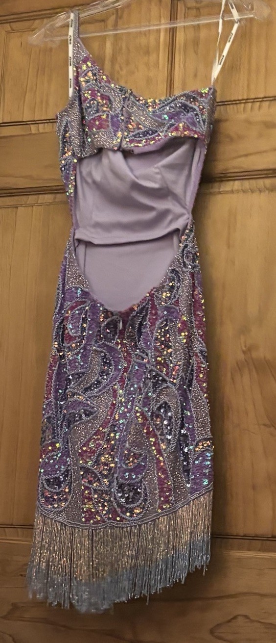 Women’s Purple/Silver Beaded Sequin Fringe V-Neck Paisley Mini Dress Size S