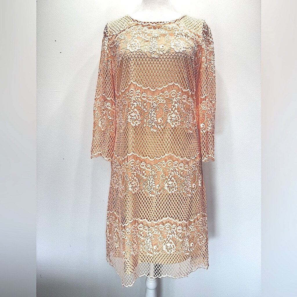 Pale Orange Peach Sheer Mesh Lace Overlay Sheath Dress 3/4 Sleeves Wendy Bird