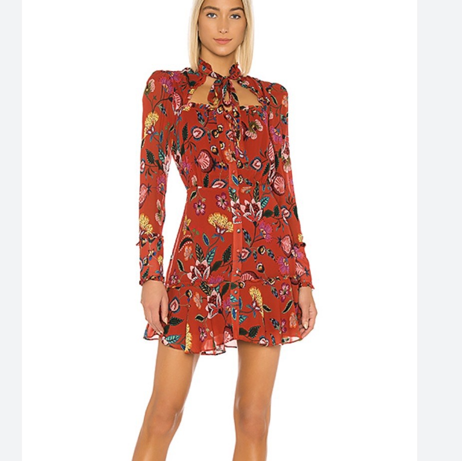 ALEXIS Morgana Chiffon Mini Dress In Red Floral Sz S Party Cocktail Feminine