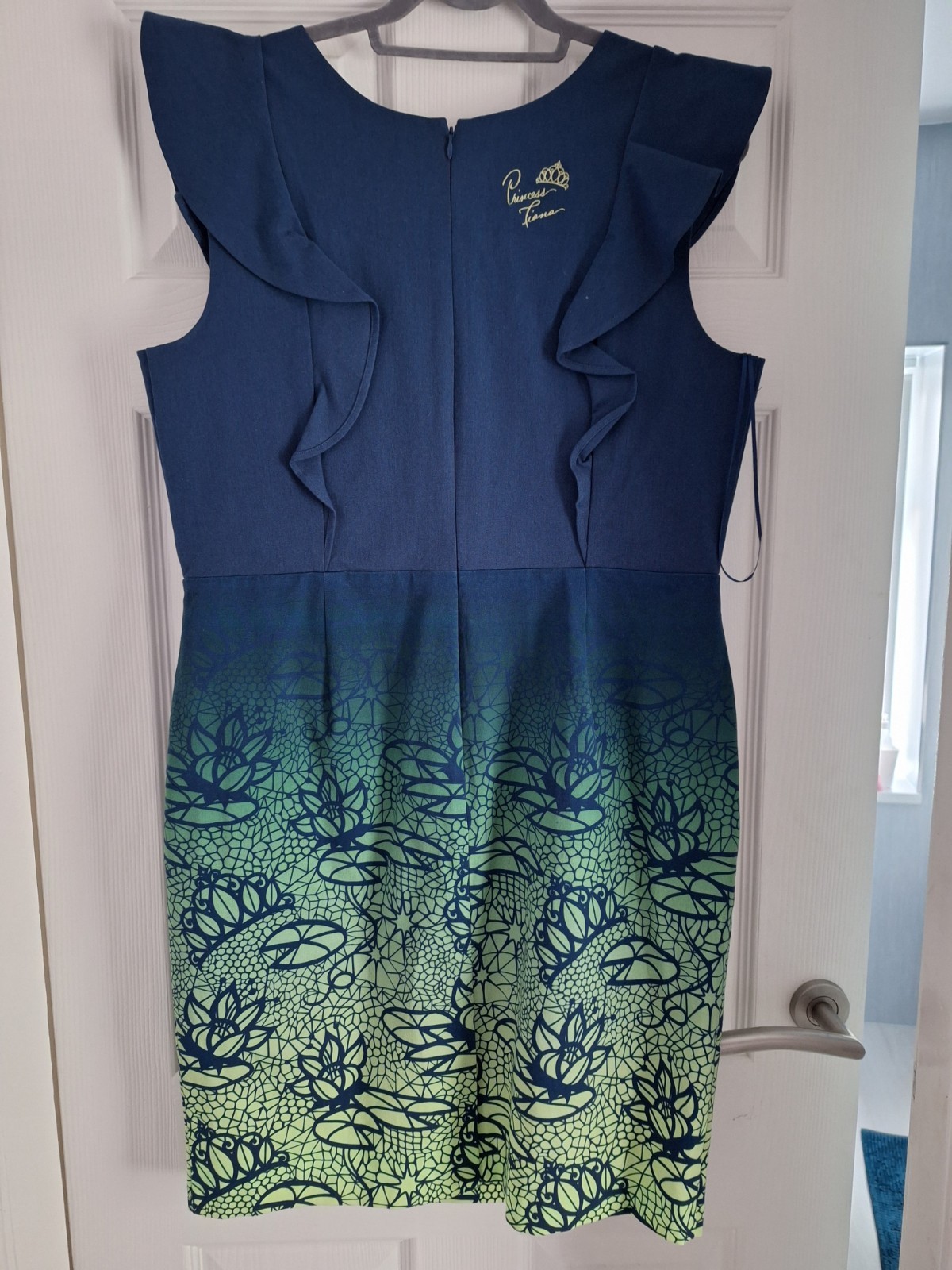 Disney Dress Size XL