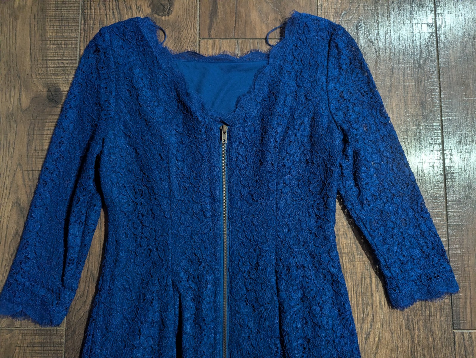 Adrianna Papell Royal Blue Lace Mini Dress Back Zipper Accent Sz 4 NWT Gorgeous