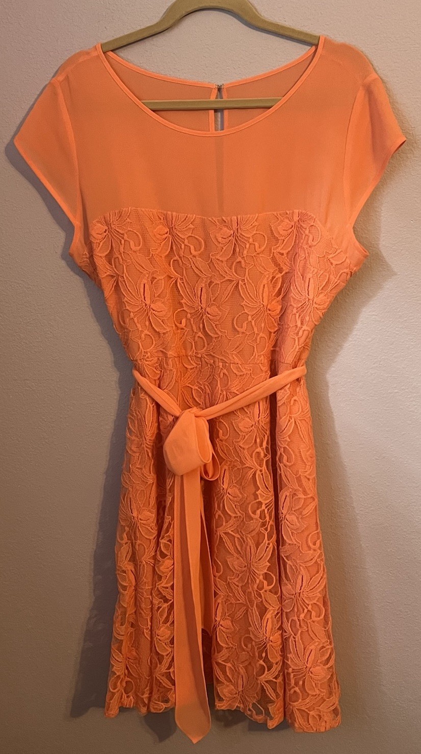 DB Established 1962 Peach Orange Lace Fit & Flare Dress Size 16