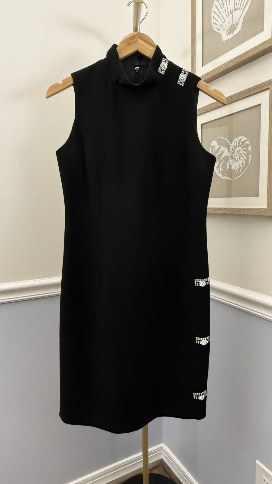 ⭐Teri Jon By Rickie Freeman | Women’s 4 | Black | Sleeveless | Dress