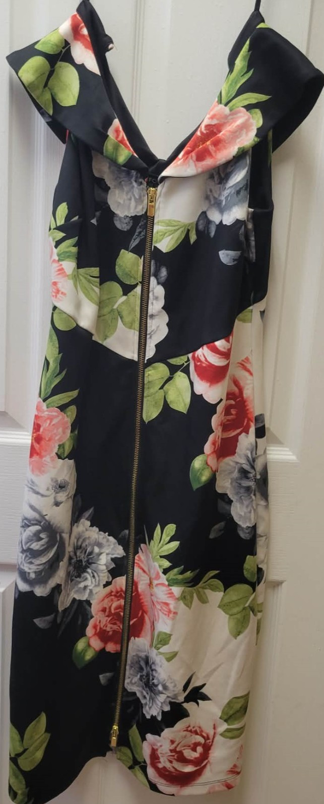 En Focus Studio Women Size 6 Floral Sleeveless Dress