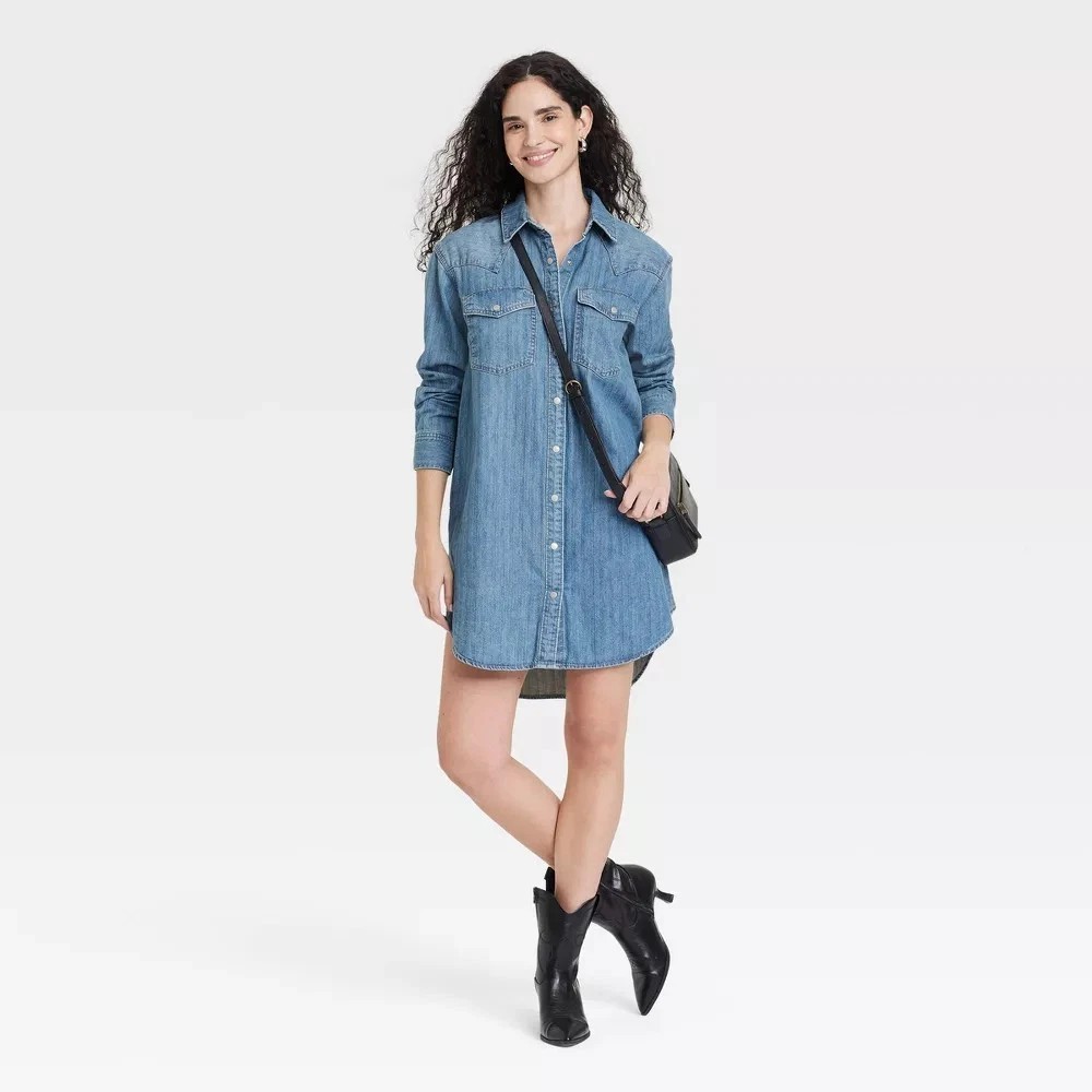 NWT Women’s Universal Thread Size Medium Western Pinstripe Snap-Up Shirtdress