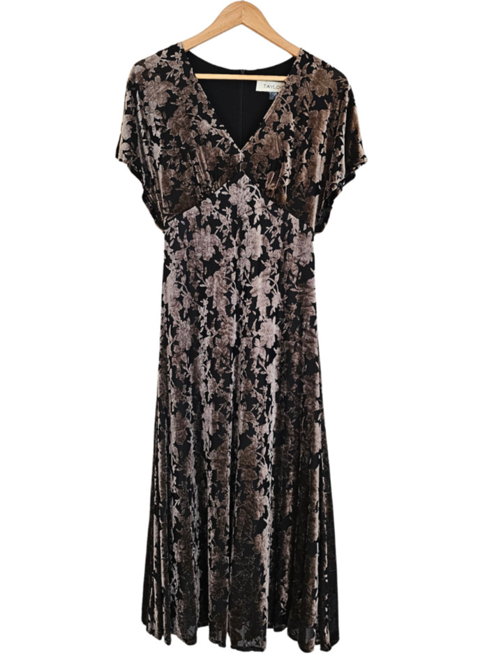 Velvet Burnout Dress Y2K Whimsigoth Fairy Grunge Babydoll Regency Dark Floral 8
