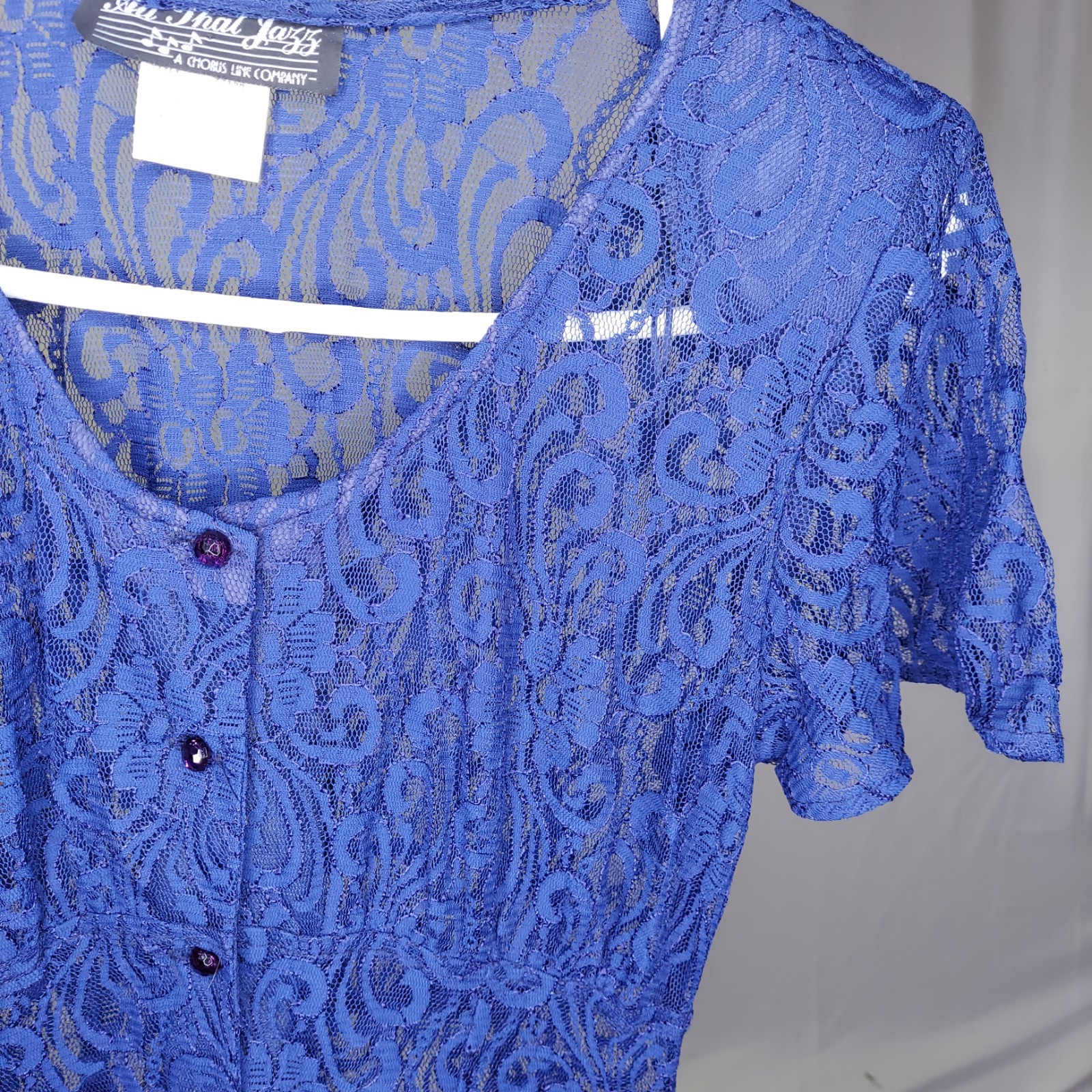 All That Jazz 90s Lace Dress 9/10 Button Sheer Navy Empire Maxi Whimsigoth Prom
