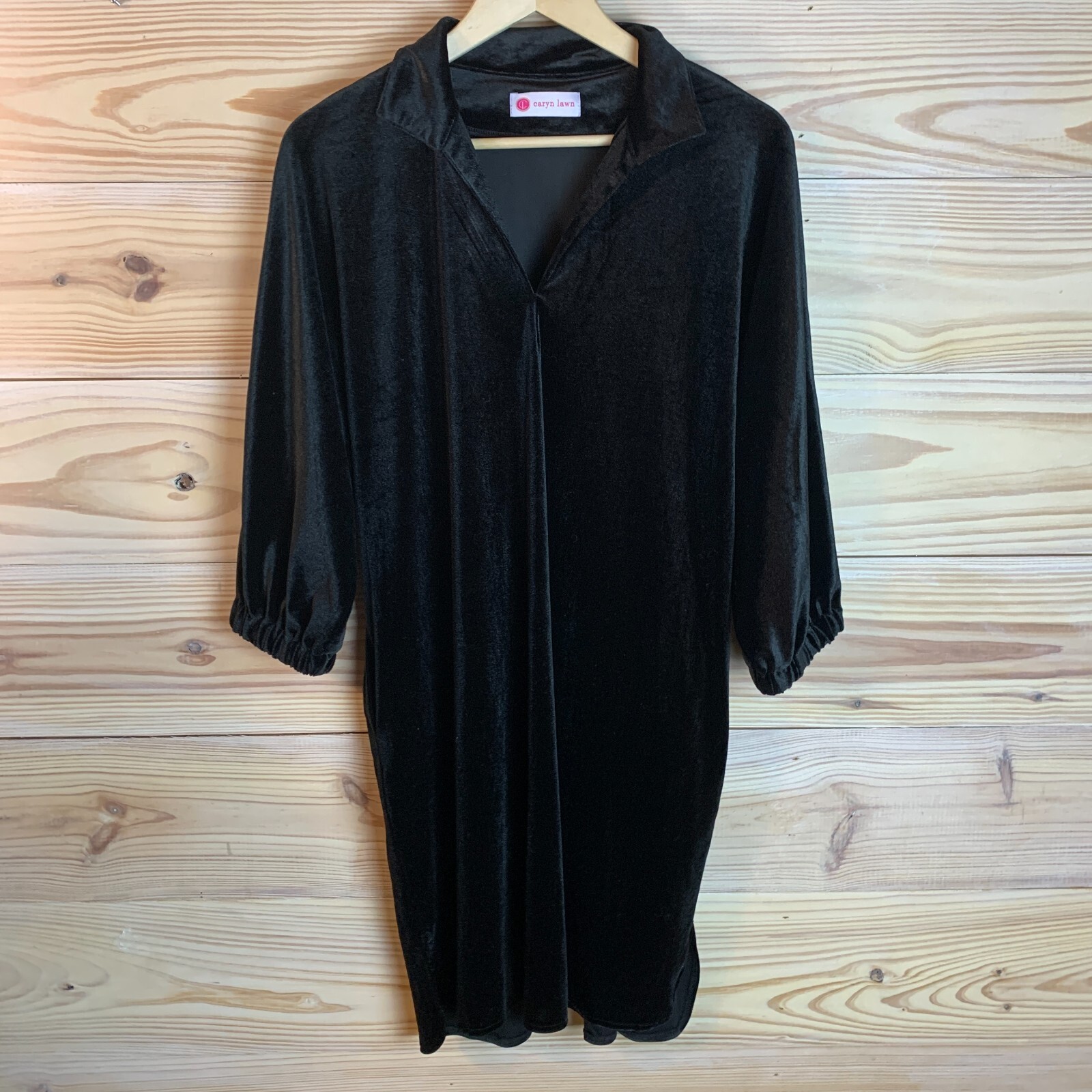 Caryn Lawn Betsy Collar Velvet Dress Black One Size Relaxed Whimsigoth