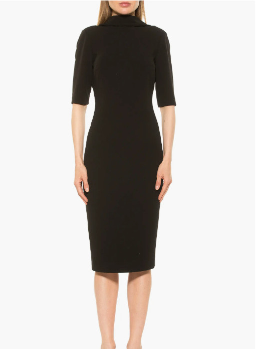 Alexia Admor Rita Retro Turtleneck Dress Orig $150 Black NWT Size M Nordstrom