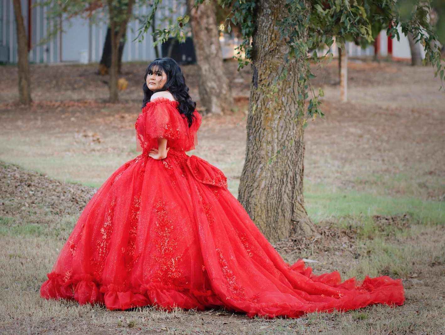 Red Quinceañera Dress Size 16-18