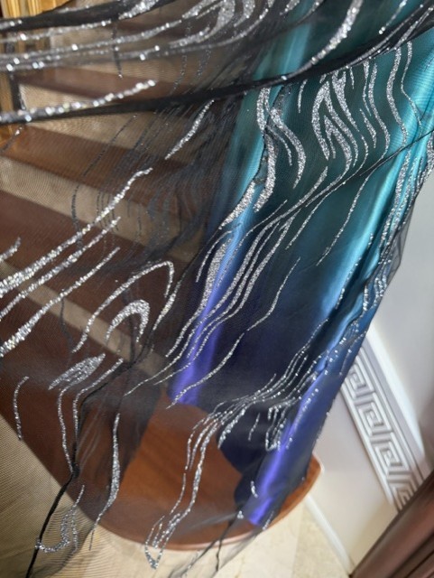 Prom, wedding, sparkle, never worn long dress, size 12