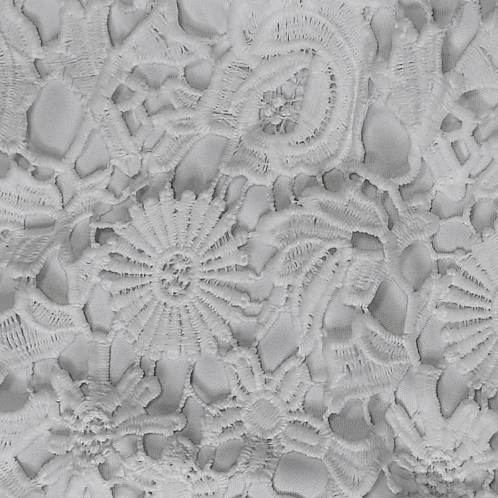 Lulus Romance Language White Lace Backless Mini Dress Xl Bridal Shower Angelcore