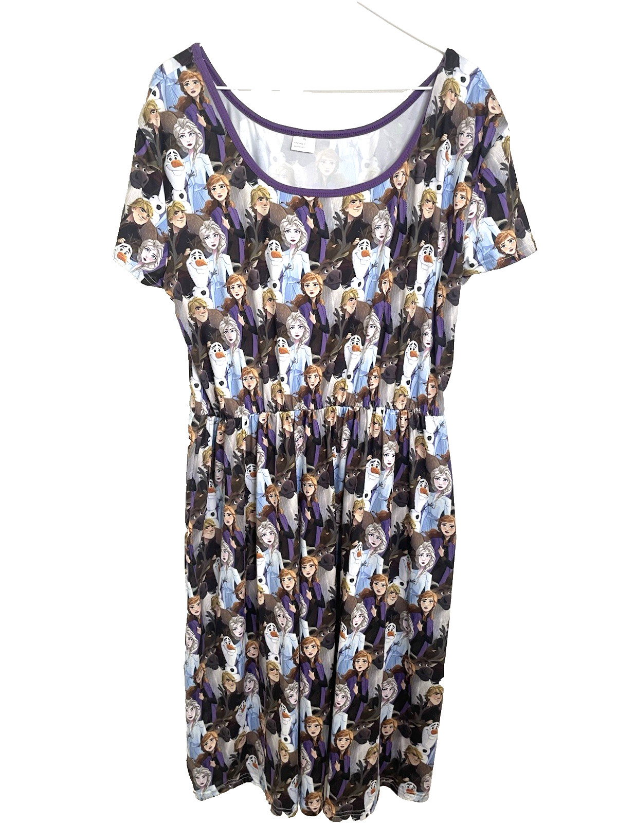 Enchanted Dress Shop Disney Frozen Elsa Anna & Characters Dress Women XL