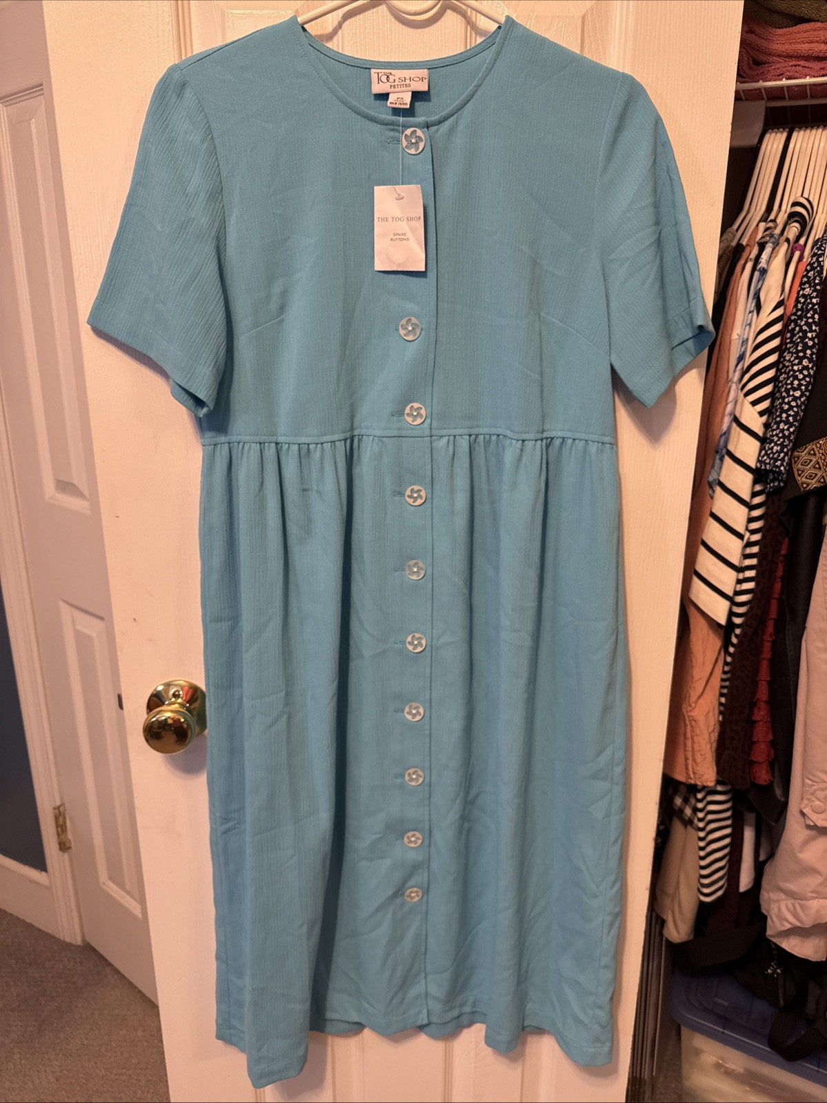 The TOG Shop Dress Women’s Blue Empire Waist Button Down Petite Small NWT