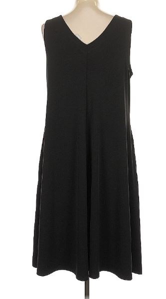 Chico’s Black Sleeveless Dress size 2 us L 12