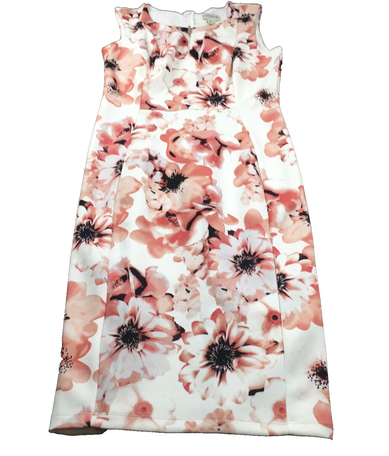 En Focus Studio Womens Dress Sz 8 White Floral Scoop Neck Stretch Lined NWOT