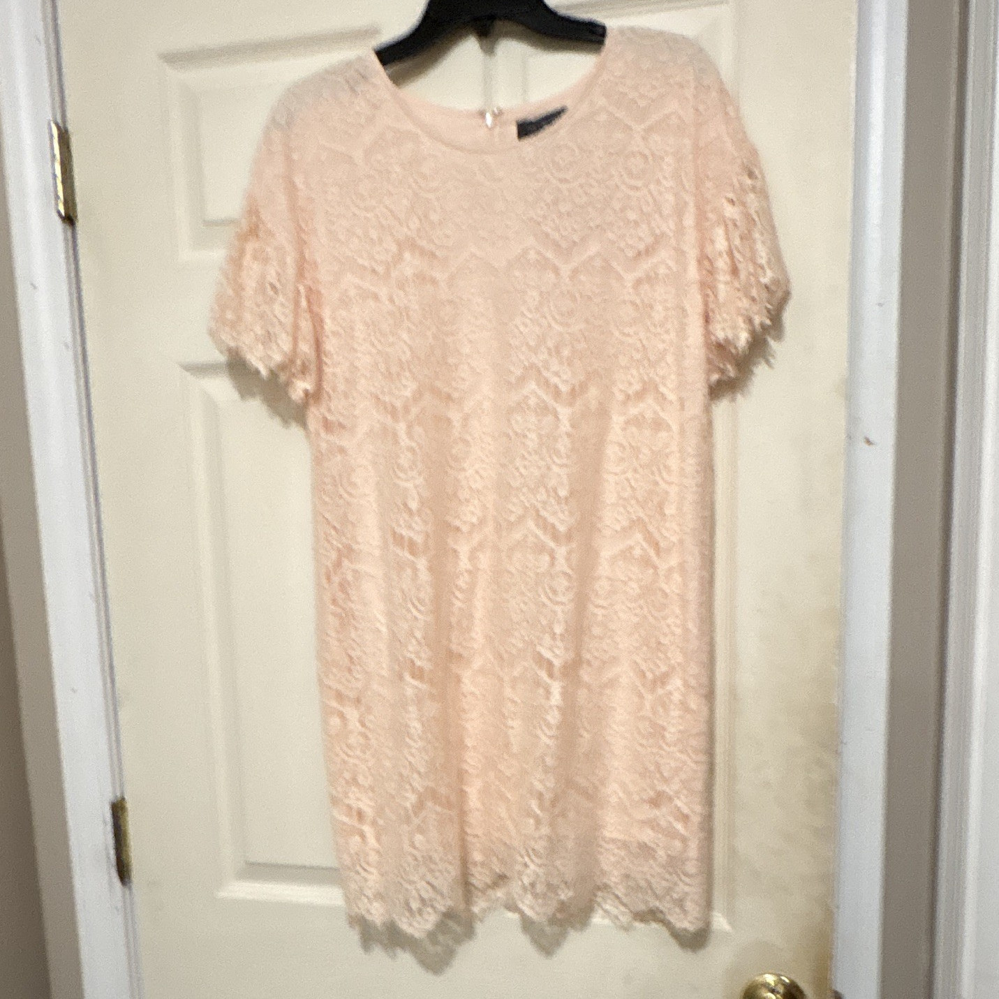 The Limited Women’s 8P Petites Blush Lace Floral A-Line Dress Round Neck Zip