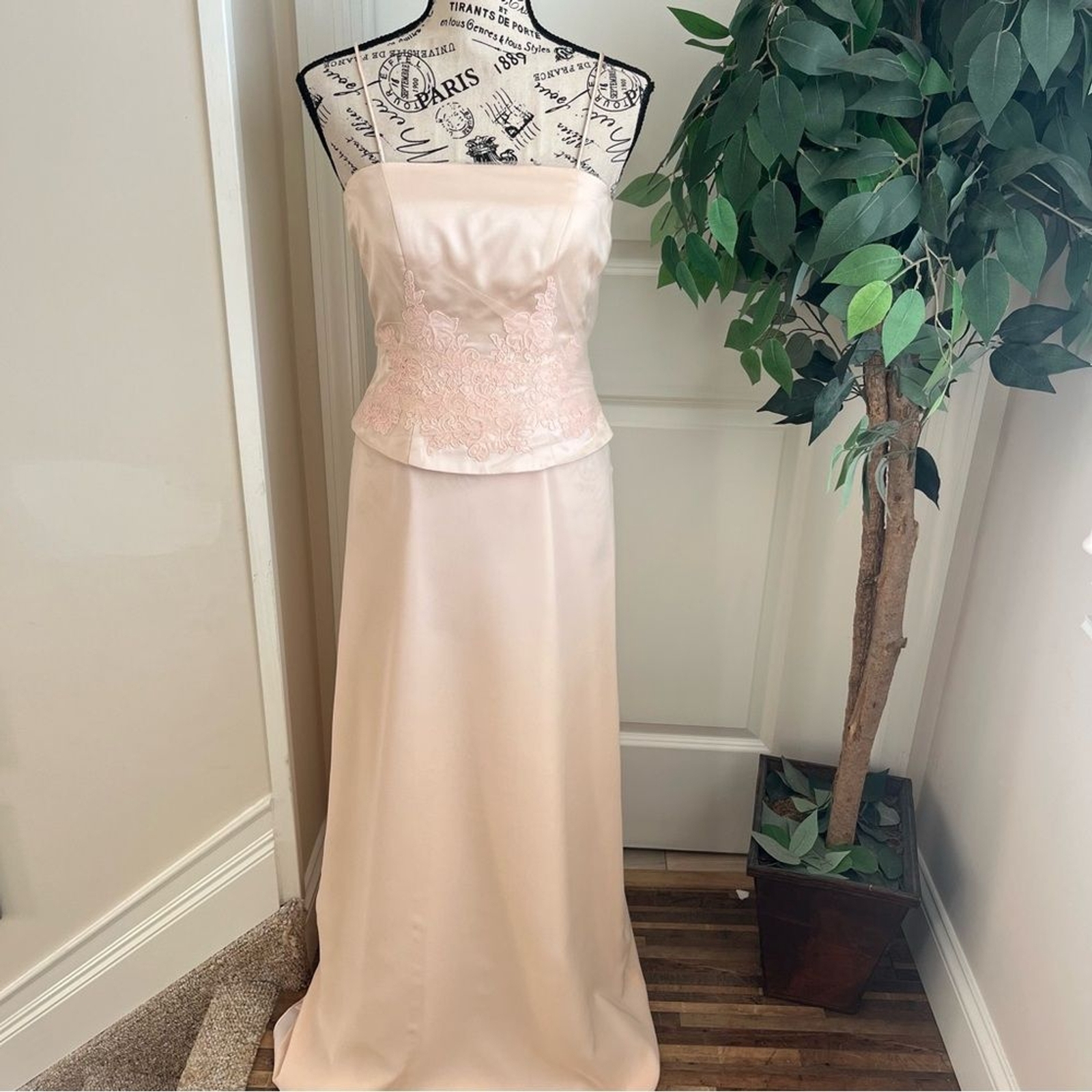Belsoie Silk Strappy Embroidered Floor Length Gown Pink Sz 4