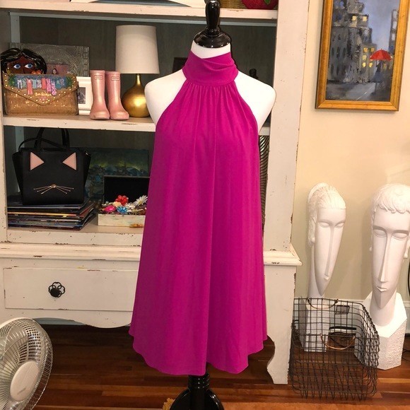 NWT Badgley Mischka Elise Fuchsia Trapeze Size 8 Sleeveless Highneck Tie Dress