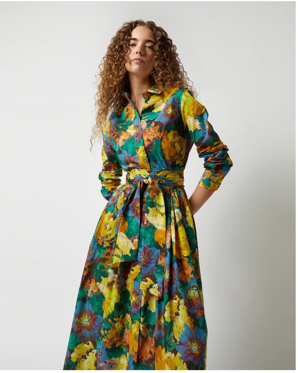 Ann Mashburn S Multi Artists Bouquet Liberty Classic Shirtwaist Maxi Dress NEW
