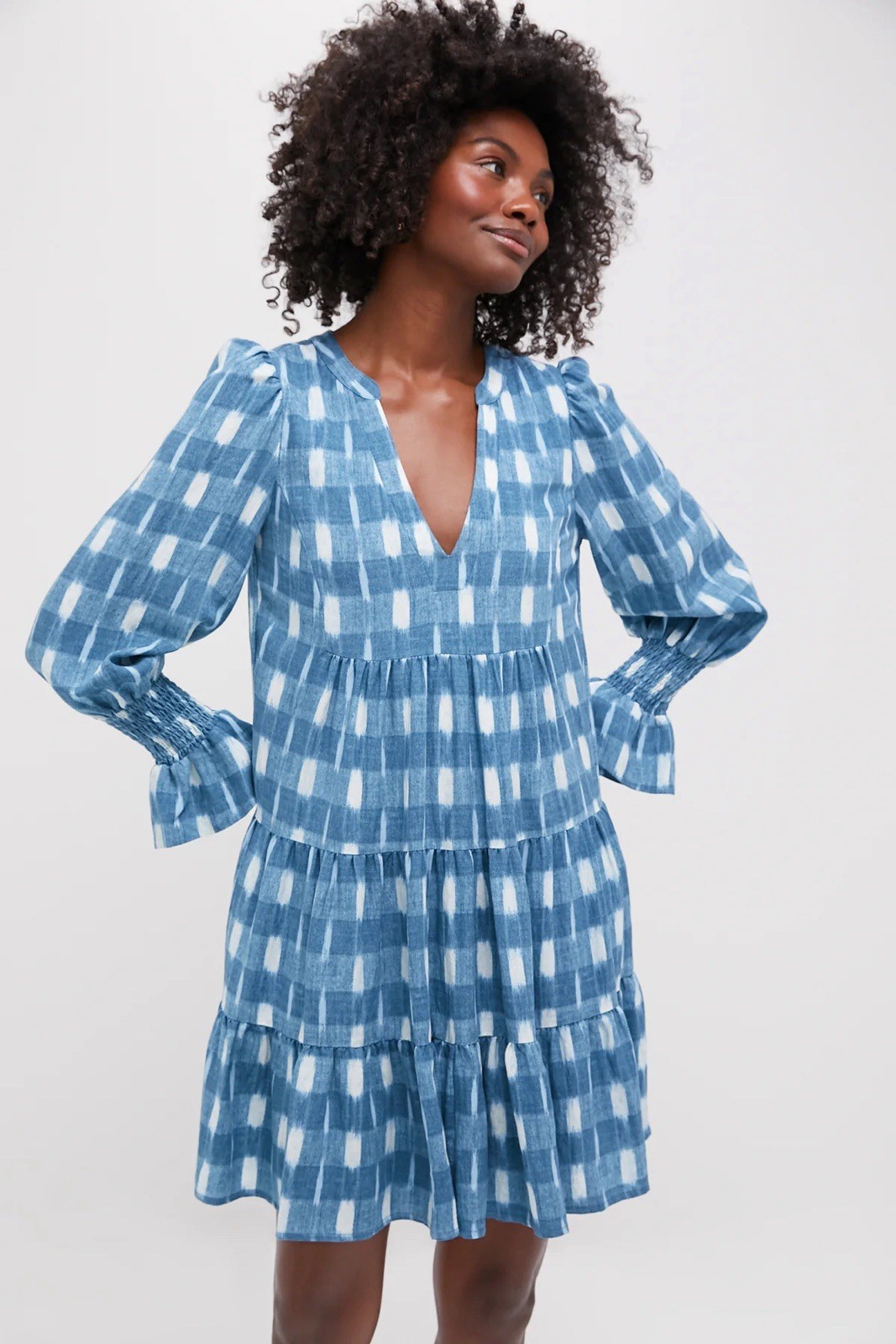 Tuckernuck Pomander Place Blue Ikat Kenzo Dress Size XS