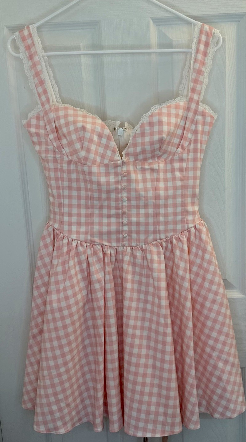 House Of Cb BRIGITTE Strawberry Shortcake Gingham Corset Mini Dress Size Medium