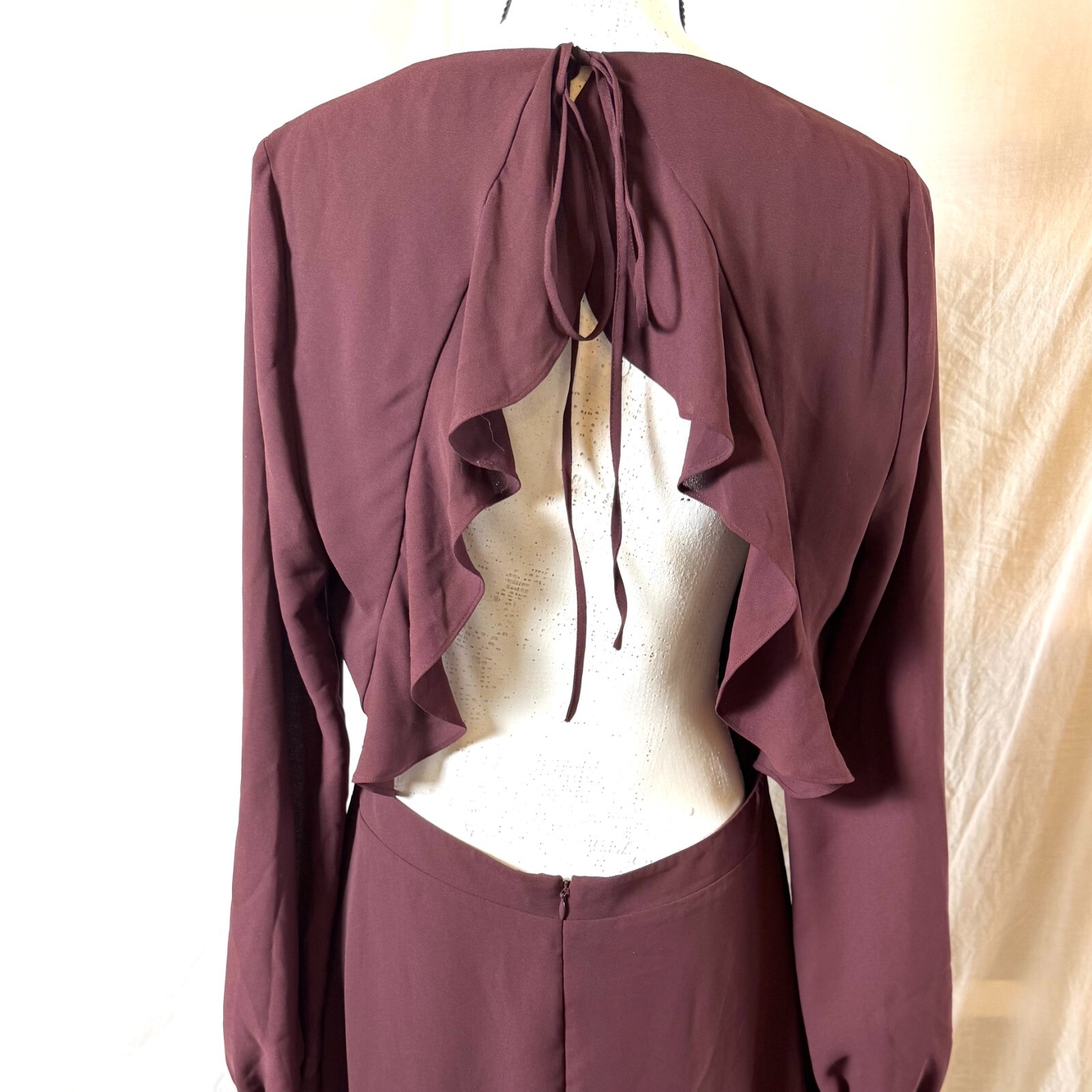 Chelsea28 Nordstrom Dress Open Back Ruffle Women’s Sz L Long Sleeve Mini Sheer