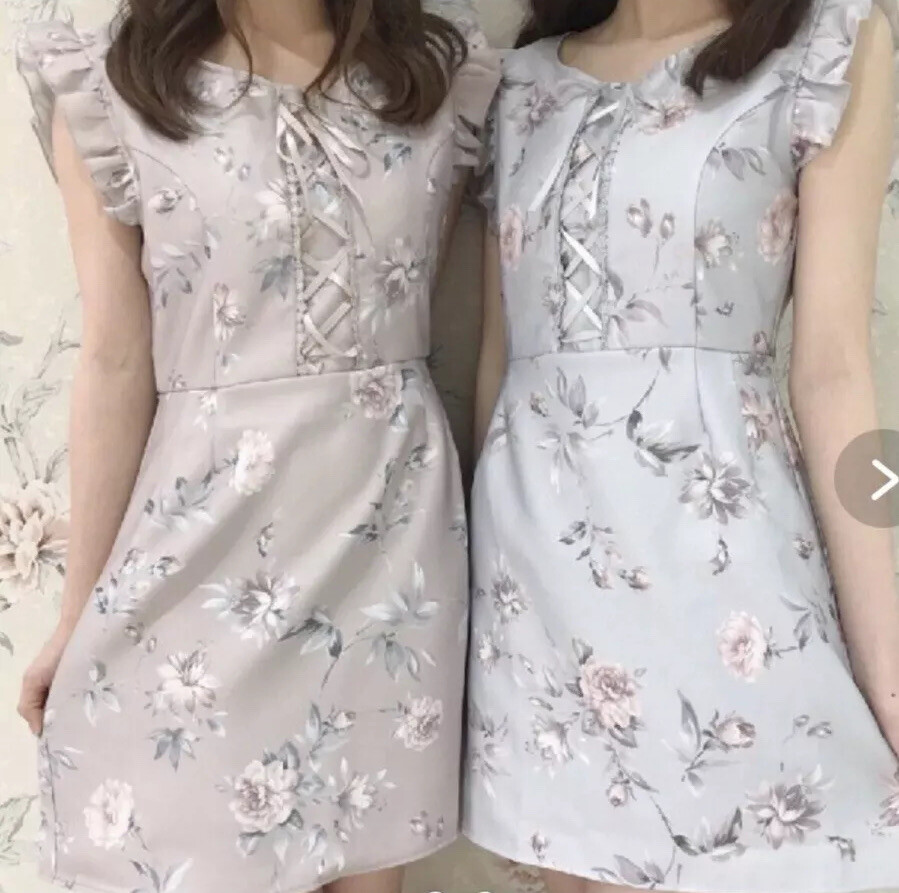 Japanese Evelyn Liz Lisa Himekaji Lilac Ruffle Floral Rose Laceup A Line Dress