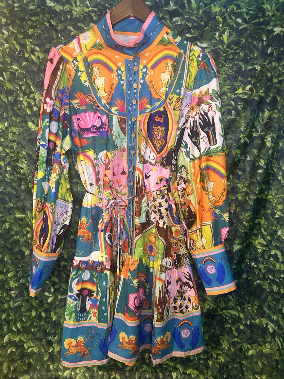 Art Print Button Front Dress Folk Boho Graphic Long Sleeve Fit Flare
