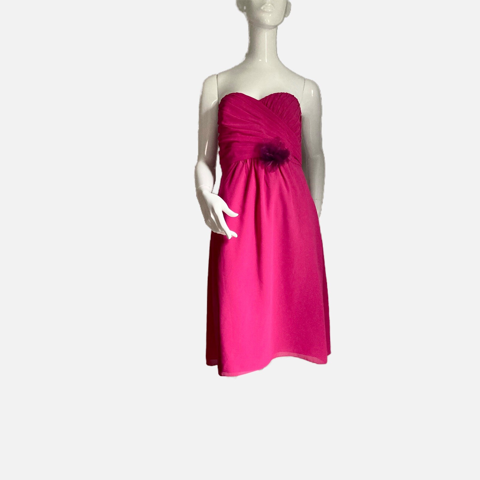 Jasmine NWOT Georgette Dress in Deep/Plum 6